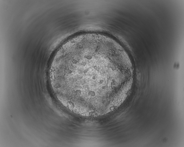 X0000112160487200908281407