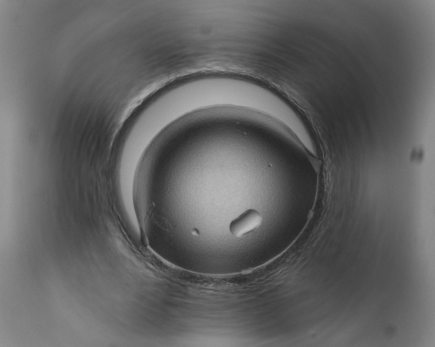 X0000112160488200908281407