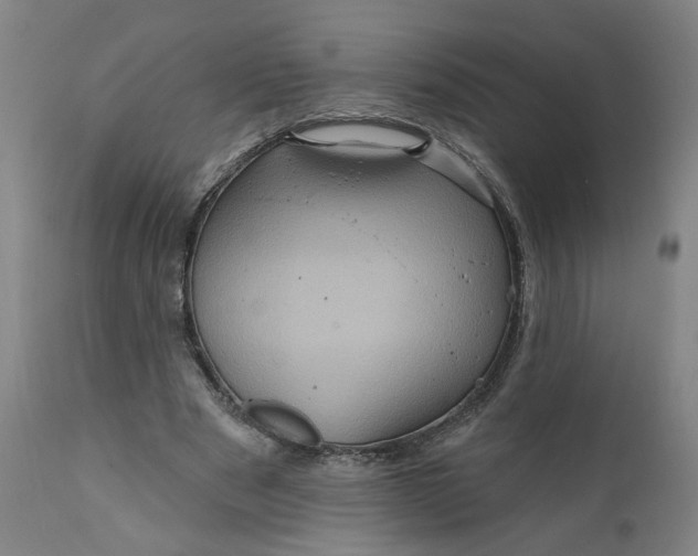 X0000112160489200908281407