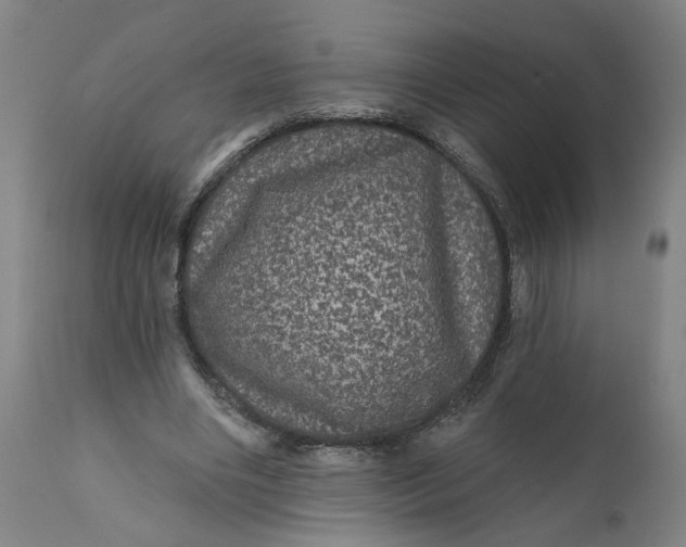 X0000112160490200908281407