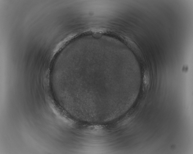 X0000112160492200908281407