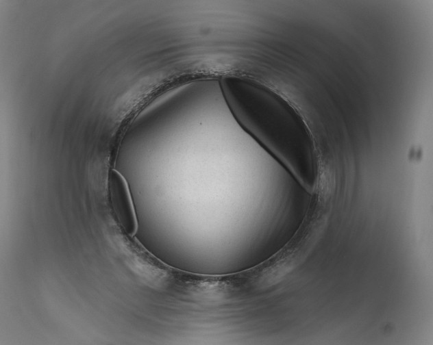 X0000112160493200908281407