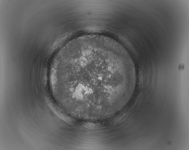 X0000112160494200908281407