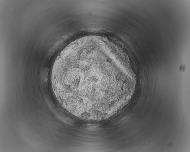 X0000112160495200908281407