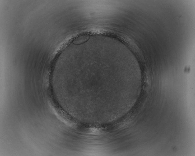 X0000112160496200908281407