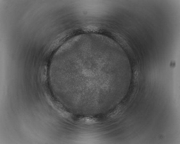 X0000112160498200908281407