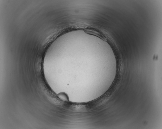 X0000112160501200908281407