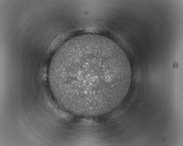 X0000112160502200908281407