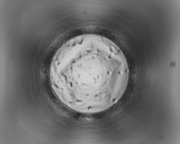 X0000112160503200908281407