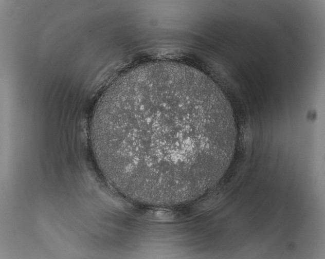 X0000112160506200908281407