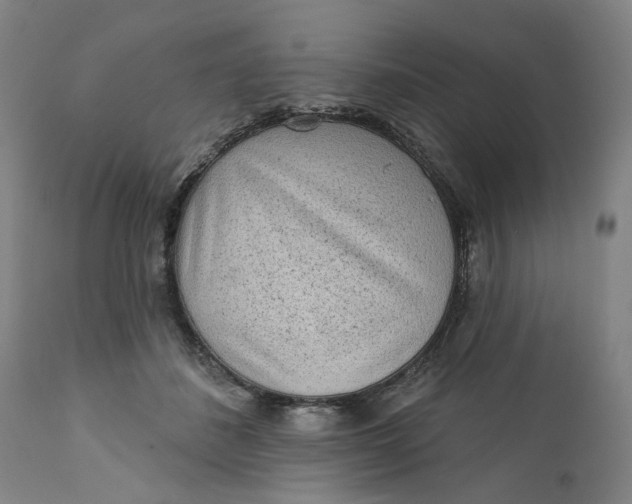 X0000112160508200908281407