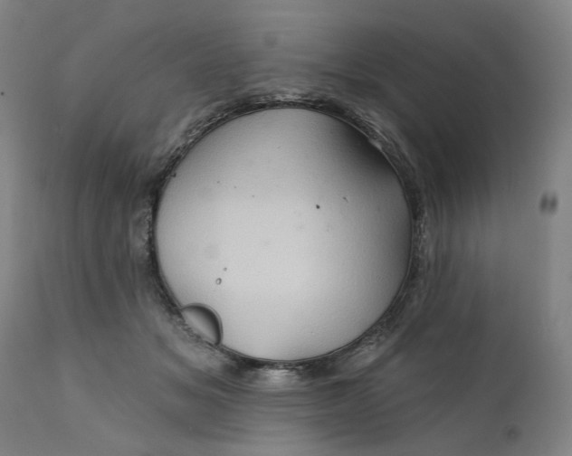 X0000112160509200908281407