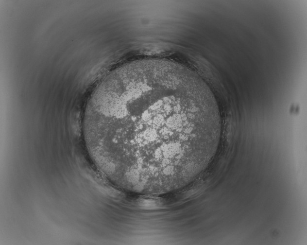 X0000112160510200908281407