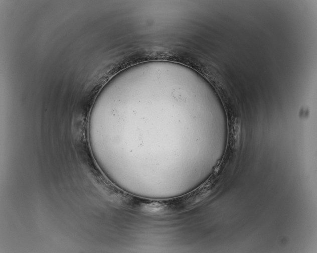 X0000112160511200908281407