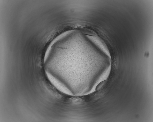 X0000112160512200908281407