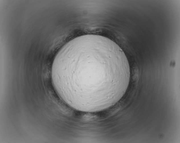 X0000112160515200908281407