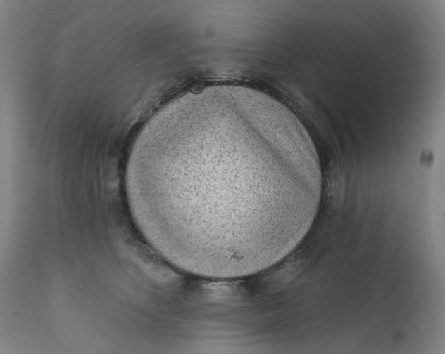 X0000112160516200908281407