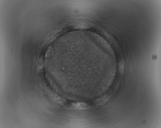 X0000112160517200908281407