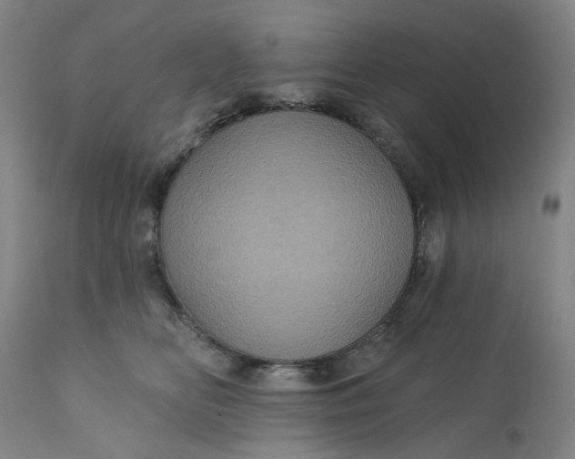 X0000112160518200908281407