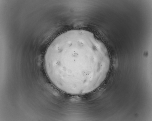 X0000112160519200908281407