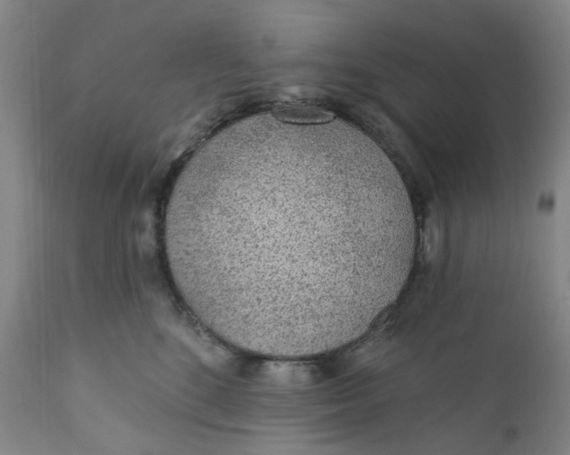 X0000112160520200908281407