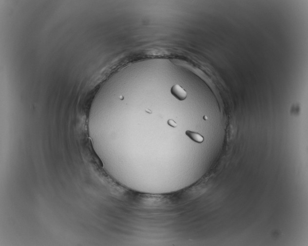 X0000112160521200908281407