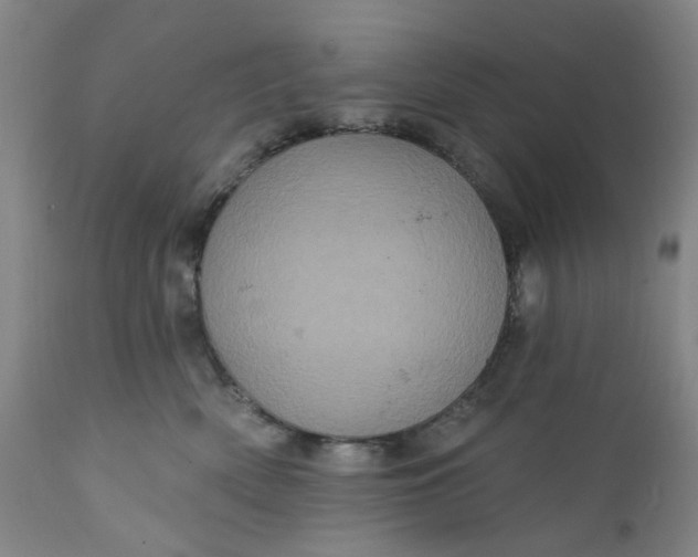 X0000112160522200908281407