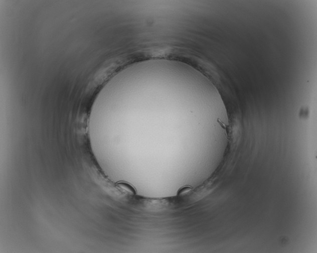 X0000112160525200908281407