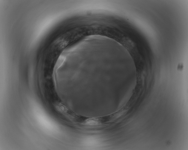 X0000112160526200908281407