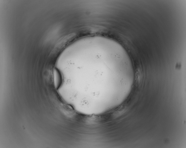 X0000112160527200908281407