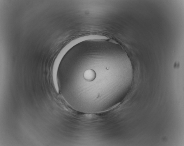 X0000112160528200908281407