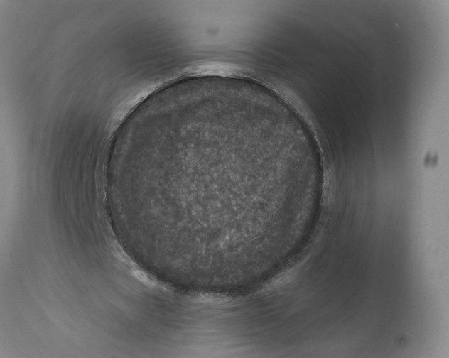 X0000112160529200908281406