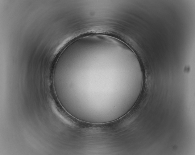 X0000112160530200908281406