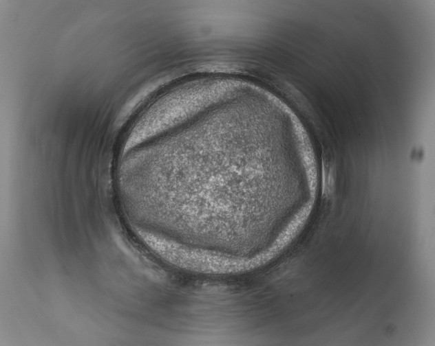 X0000112160531200908281406