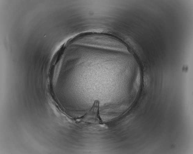 X0000112160532200908281406