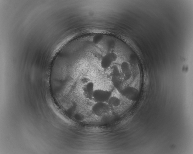 X0000112160533200908281406