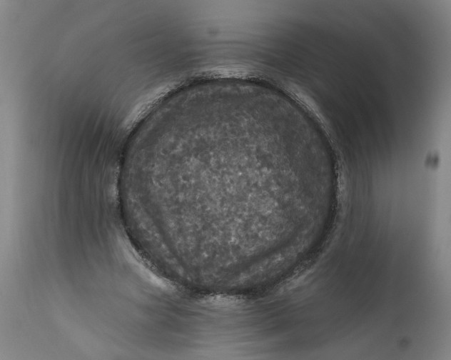 X0000112160537200908281406