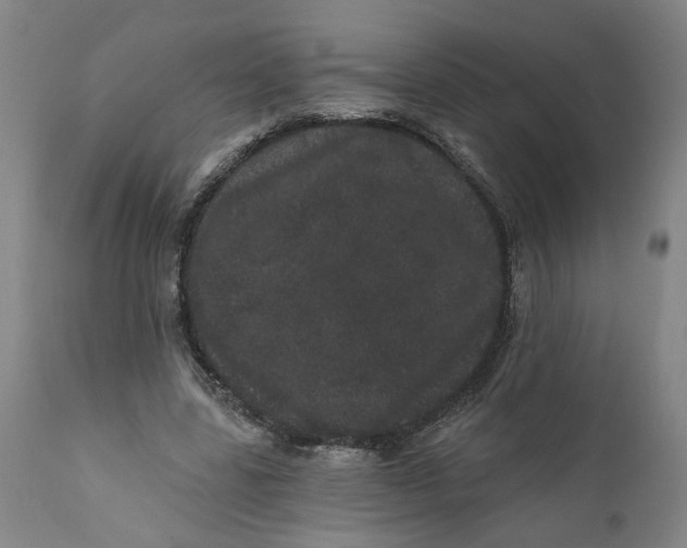 X0000112160539200908281406