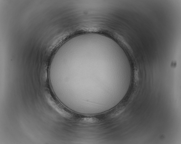 X0000112160541200908281406