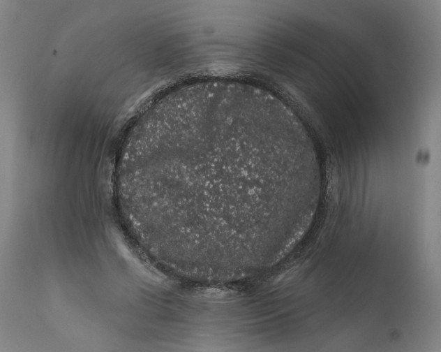 X0000112160542200908281406