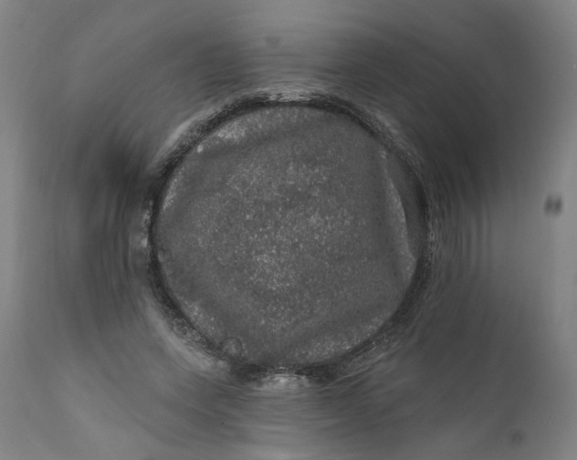 X0000112160543200908281406