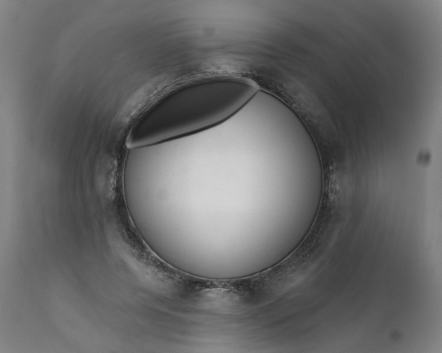 X0000112160544200908281406