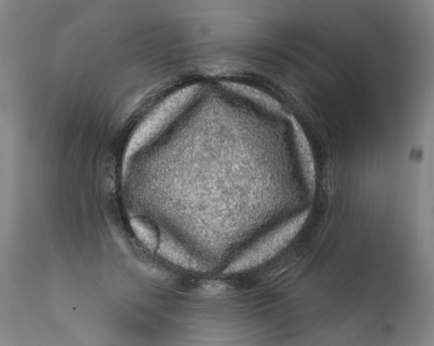 X0000112160547200908281406