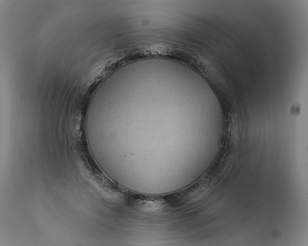 X0000112160548200908281406