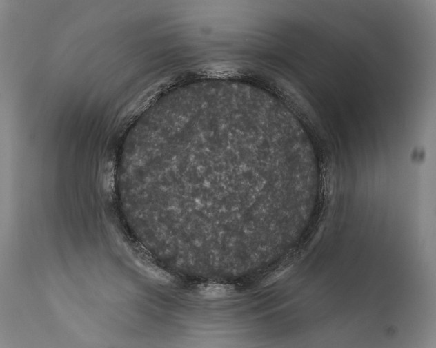 X0000112160549200908281406