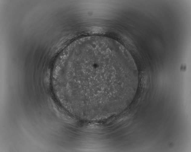 X0000112160550200908281406