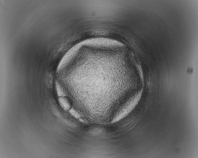 X0000112160551200908281406