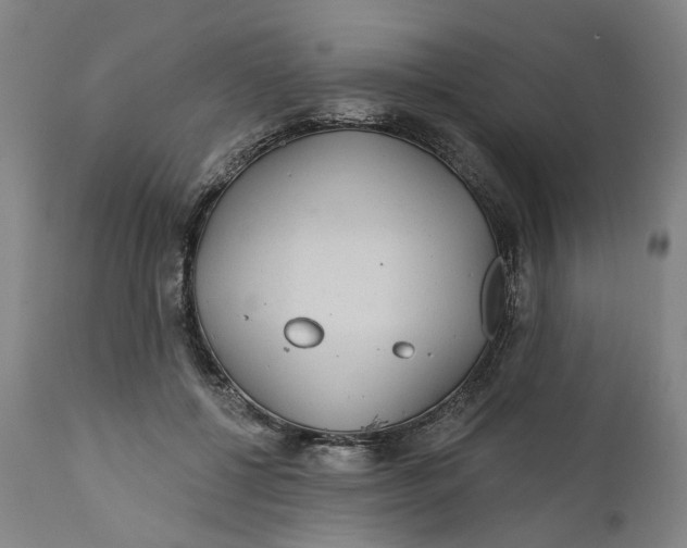 X0000112160552200908281406