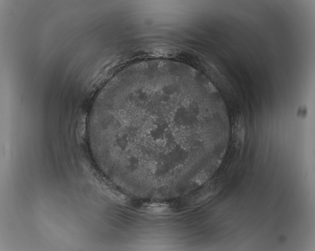 X0000112160554200908281406