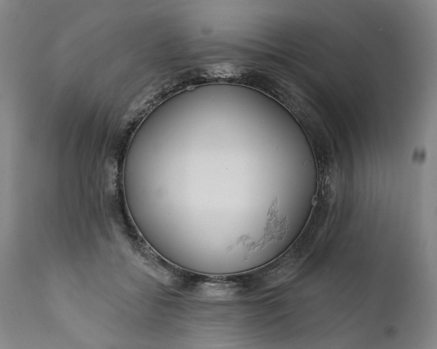 X0000112160556200908281406